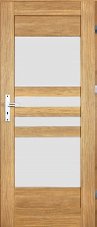 dvere ares 001